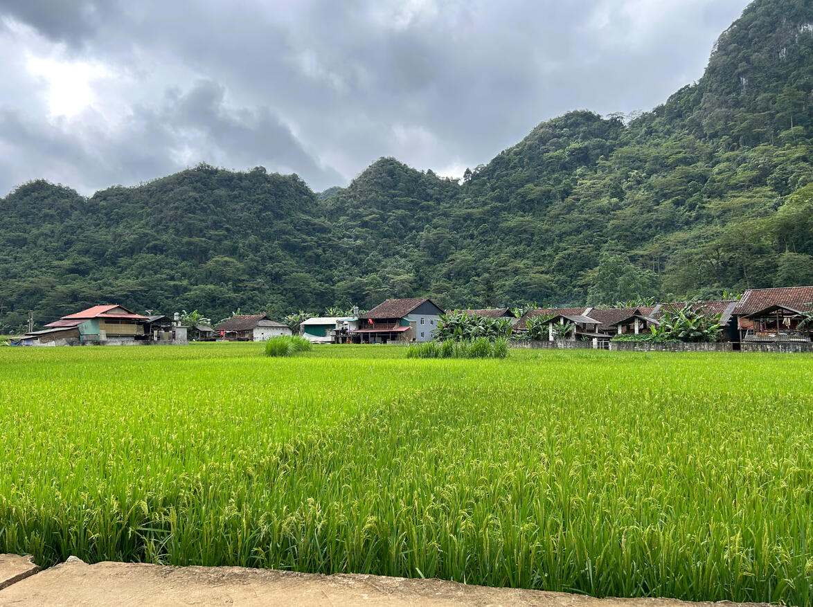 Cao bang Cao bang